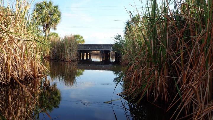 Fishing in Tamiami Canal, FL