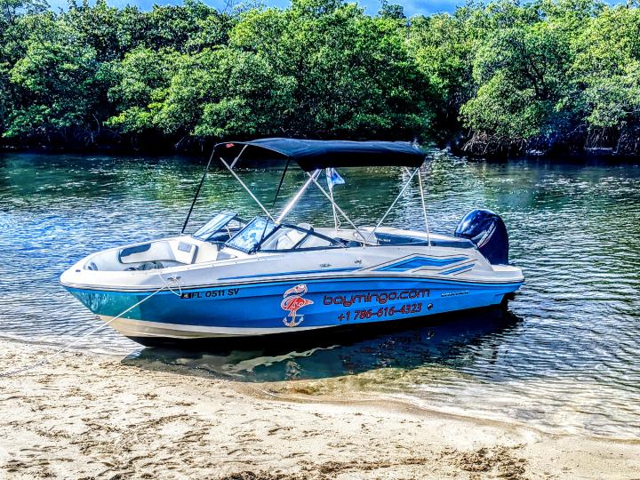 BEST BOAT TO RENT | UP 8pp | Sandbar | party
