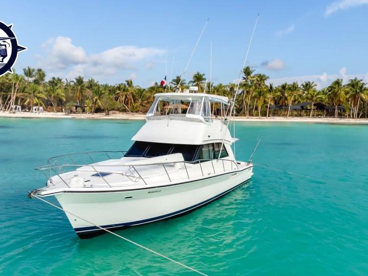 🎣🛥️🌊DEED SEA FISHING LUXURY BOAT PRIVATE AND SHARED 🛥️🎣🐠