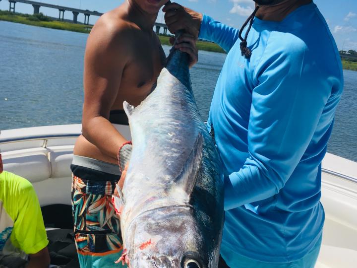 Fishing Charters and Dolphin Tours