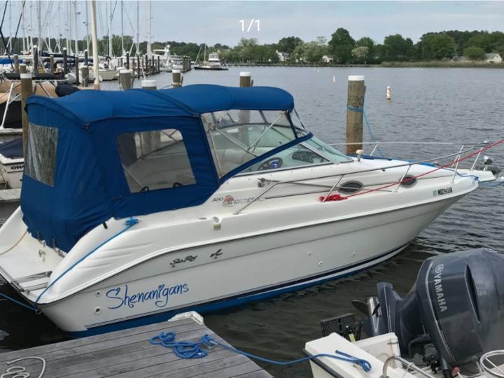 ALL INCLUSIVE DAY TRIP ON THIS BEAUTIFUL SEA RAY