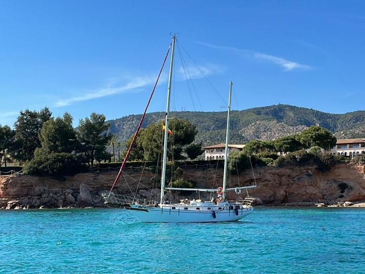 Sailing Palma Bay