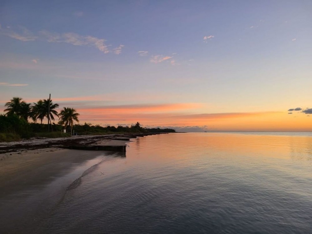 sunset-palms-ocean-beach