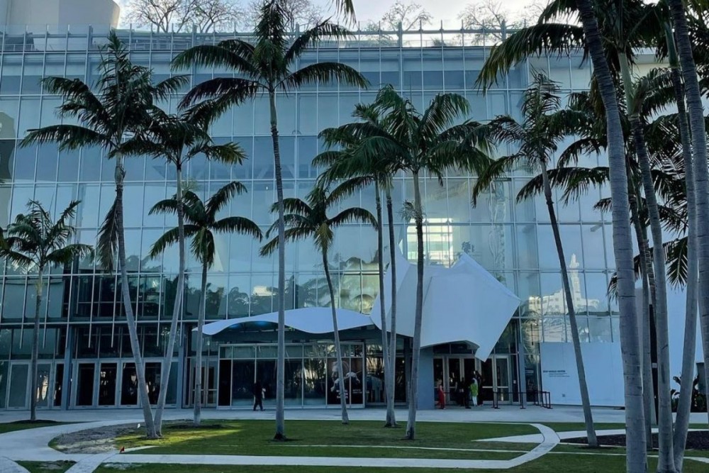 new-world-center-palm-trees