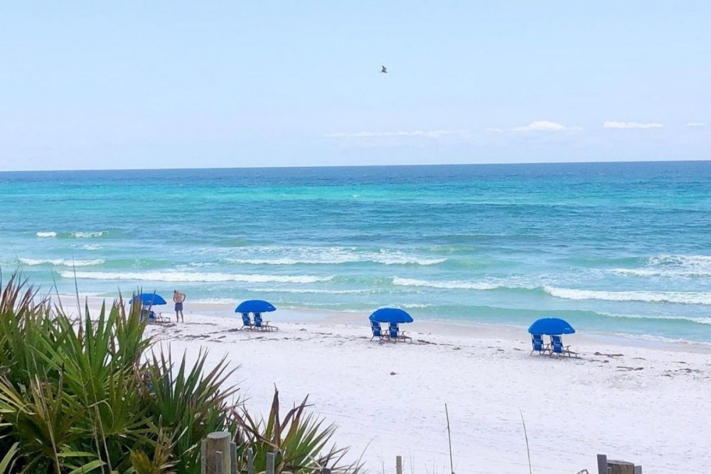 beach with umbrellas and ocean