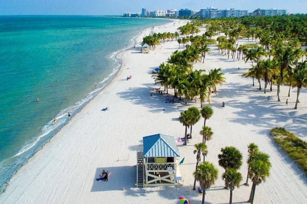 crandon-park-beach-shore-ocean-miami-palms