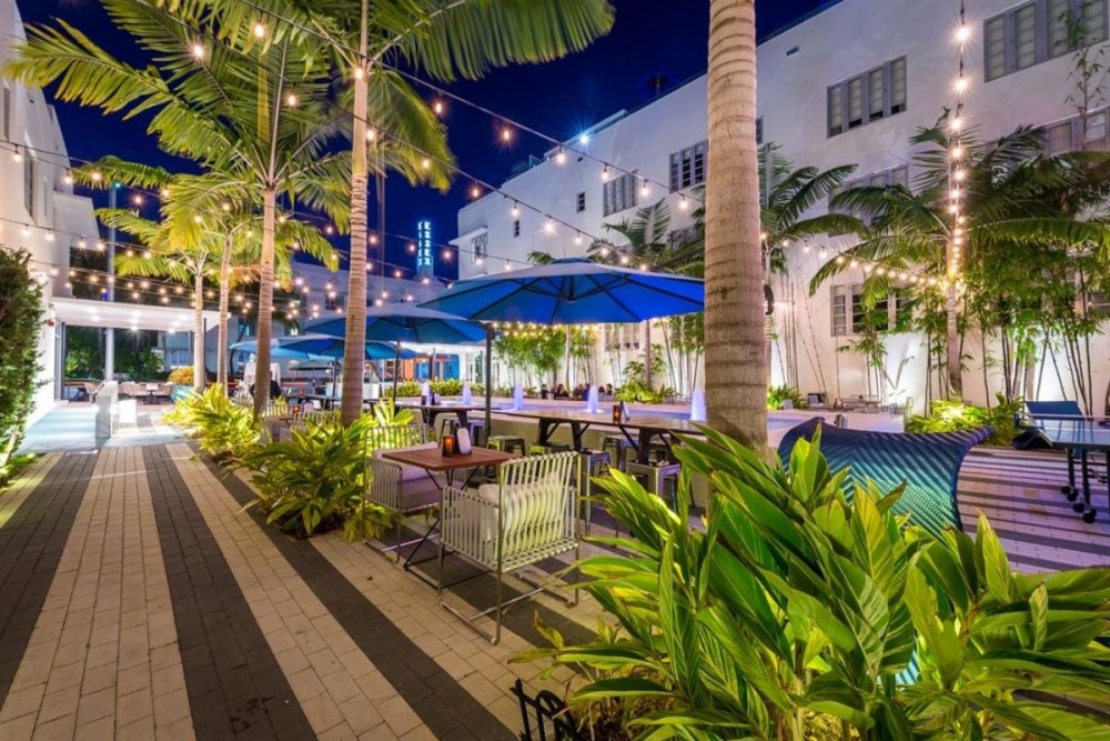 palm-trees-pool-hotel