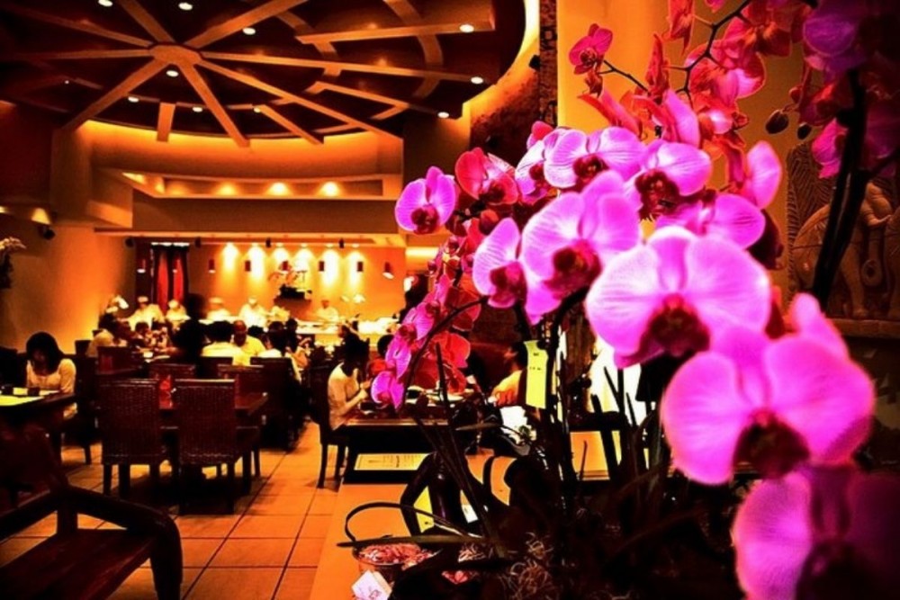 Oishi Thai Miami-orchid-restaurant-tables-chairs-people-in-restaurant